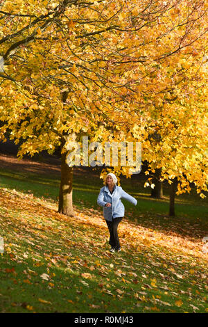 Brighton, Großbritannien, 6. November 2018 - ein Wanderer erfreut sich einer durch die bunten Blätter im Herbst in Queens Park Brighton an einem schönen warmen sonnigen Nachmittag Credit Spaziergang: Simon Dack/Alamy leben Nachrichten Stockfoto
