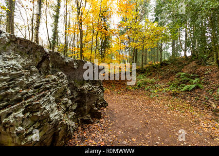 Echo - von Annie Cattrell. Eine der Arbeiten der Skulptur für Wald von Dean Skulpturenweg, Gloucestershire. UK. Stockfoto