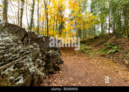 Echo - von Annie Cattrell. Eine der Arbeiten der Skulptur für Wald von Dean Skulpturenweg, Gloucestershire. UK. Stockfoto