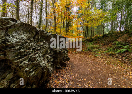 Echo - von Annie Cattrell. Eine der Arbeiten der Skulptur für Wald von Dean Skulpturenweg, Gloucestershire. UK. Stockfoto