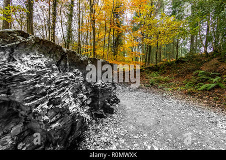 Echo - von Annie Cattrell. Eine der Arbeiten der Skulptur für Wald von Dean Skulpturenweg, Gloucestershire. UK. Stockfoto