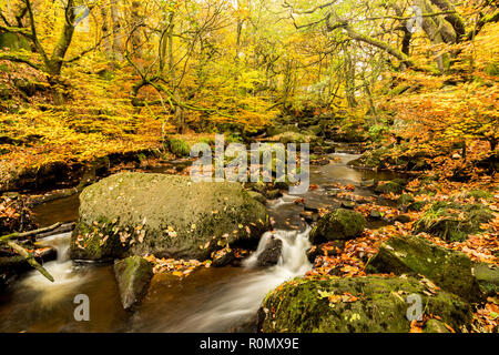 Padley Gorge River Bed im Herbst. Stockfoto