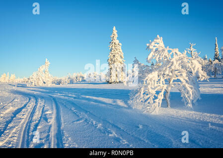 Verschneite Landschaft, gefrorene Bäume im Winter in Saariselka, Lappland, Finnland Stockfoto