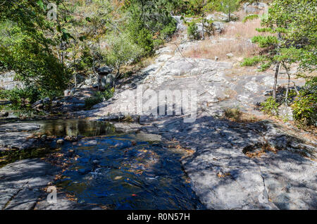 Landschaft bei Hawn State Park Stockfoto