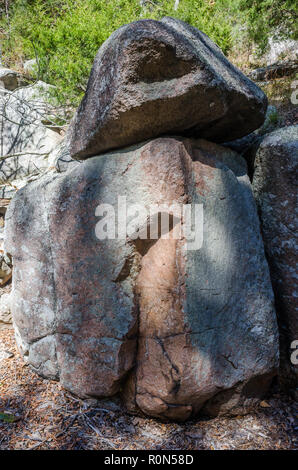 Landschaft bei Hawn State Park Stockfoto