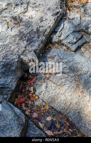 Landschaft bei Hawn State Park Stockfoto