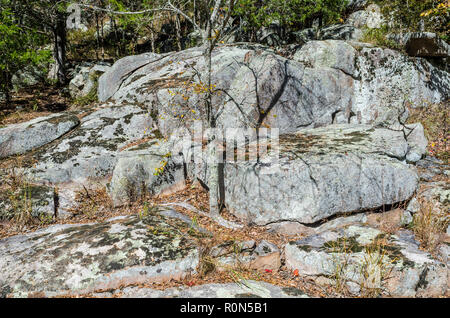 Landschaft bei Hawn State Park Stockfoto