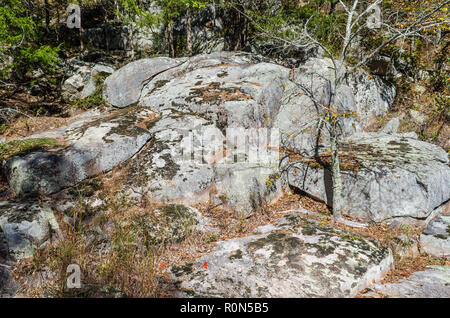 Landschaft bei Hawn State Park Stockfoto