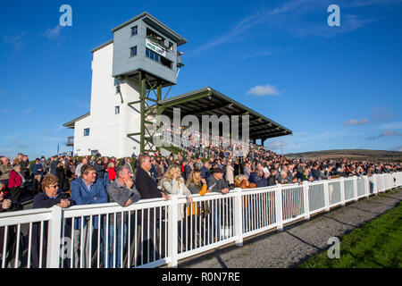 Eine grosse Masse und verpackt Tribüne sehen Sie sich ein Pferderennen auf der Rennbahn Ffos Las, Trimsaran, Carmarthenshire, Wales Stockfoto