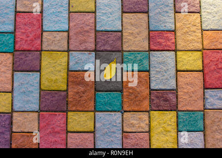 Gelbe Blatt auf bunten Stein Steine. Herbst Komposition Konzept. Stockfoto