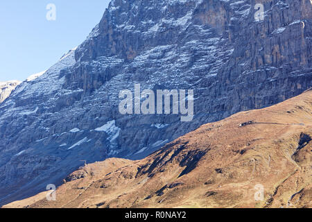 Blick auf die berüchtigte Eigernordwand (Eiger Nordwand) von Kleine Scheidegg Bahnhof - Kleine Scheidegg, Jungfrau Region, Schweiz Stockfoto