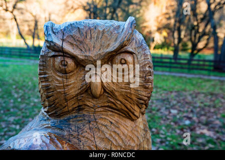 Eine Dekoration aus Holz Skulptur von Eule in Park Stockfoto