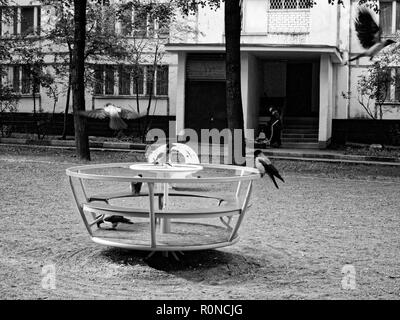 Krähen auf dem Spielplatz am Morgen, Moskau Stockfoto