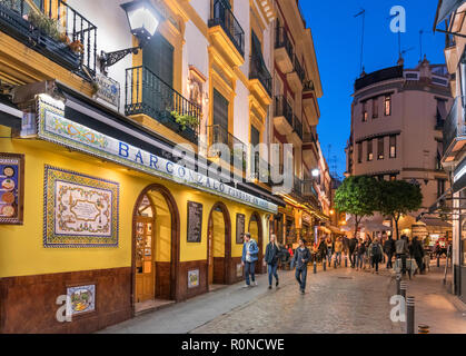 Bars, Cafes und Restaurants in der Nacht, Calle Conteros, Barrio Santa Cruz, Sevilla, Andalusien, Spanien Stockfoto