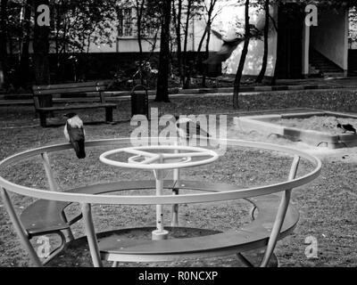 Krähen auf dem Spielplatz am Morgen, Moskau Stockfoto