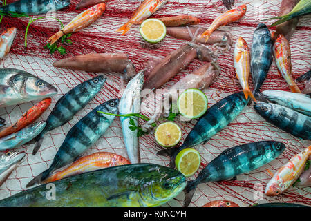 Frische Fische zum Verkauf in den lokalen Markt. Sizilien, Italien. Stockfoto