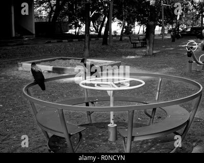 Krähen auf dem Spielplatz am Morgen, Moskau Stockfoto