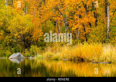 Eine ruhige Szene an Tims Teich im Herbst im Staat Washington Stockfoto