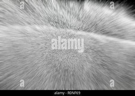 Sprinkleranlage, die mit frischem grünem Gras. zoom Effekt Filter Stockfoto