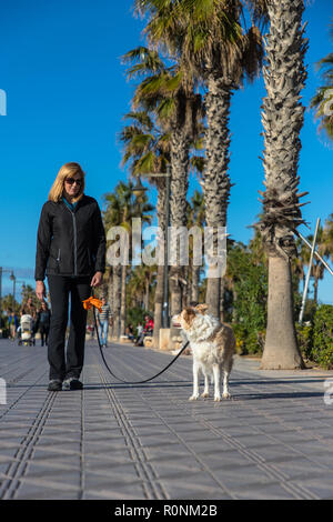 Low Angle konzentrieren sich auf eine blonde Border Collie mix auf der Leine an einer Strandpromenade mit Palmen und einem strahlend blauen Himmel einen Rückblick auf ihre blonde Besitzerin in Stockfoto