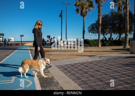 Eine Seitenansicht eines blonde Frau mit Sonnenbrille und einer schwarzen Jacke gehen eine Blondine Border Collie Mix an der Leine entlang einer Promenade Überqueren einer Rollstuhl Stockfoto
