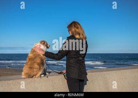 Eine blonde Border Collie Mix sitzen auf einer Mauer am Strand mit ihrem Besitzer ihr Streichelzoo auf einem hellen, sonnigen Tag und den blauen Ozean im Hintergrund Stockfoto