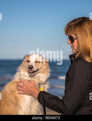 Vertikale Foto konzentrierte sich auf eine blonde Border Collie mix am Strand mit ihrem Besitzer ihr Streichelzoo auf einem hellen, sonnigen Tag und den blauen Ozean in der backgrou Stockfoto