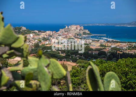 Vue depuis Les hauteurs De Calvi, Korsika, Frankreich Stockfoto