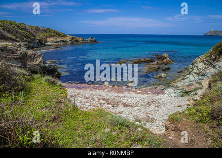 Littoral du Cap Corse, Korsika, Frankreich Stockfoto