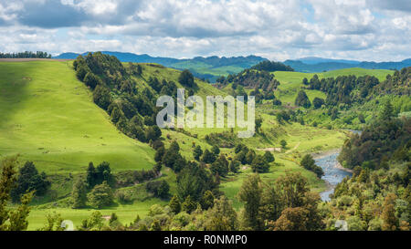 Whanganui River durch die üppige Landschaft wie aus Piriaka Aussichtspunkt in Neuseeland gesehen fließt Stockfoto