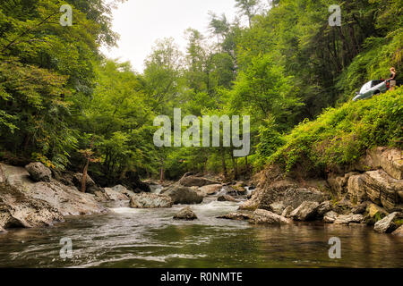 Fluss und grüne Bäume in den Smokey Mountains mit einer weißen Frau geparkt Neben es mit Blick auf den neben ihr Pickup Truck Stockfoto