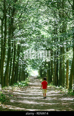 Junge entlang einer kleinen, mit Bäumen gesäumten Fußweg, Holland Stockfoto