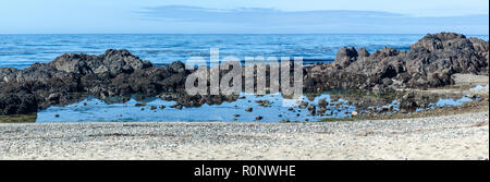 Rocky Gezeiten Pool, Experiment, Beach, Cape Scott Provincial Park, Vancouver Island, British Columbia, Kanada Stockfoto