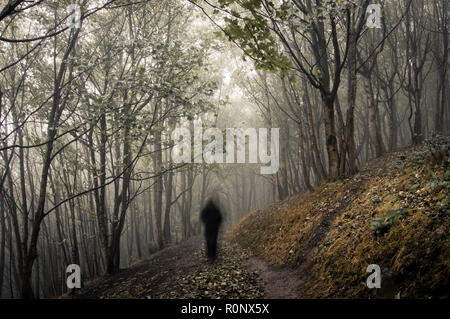 Ein gespenstisches Bild wandern in einer nebligen, Winter Forest, mit einem Vintage stummgeschaltet bearbeiten Stockfoto