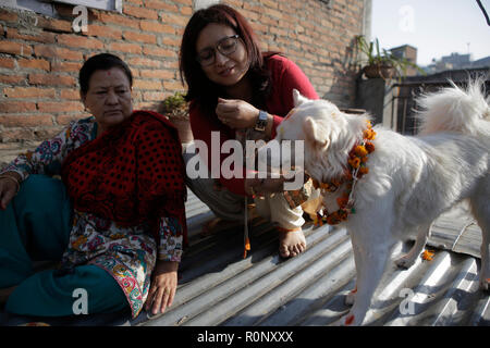 Nepalesische Frauen gelten Girlande Blume und Vermillion Pulver zu Ihrem Hund während des KUKUR TIHAR oder Hund Gottesdienst Tag. Nach der hinduistischen Tradition Hunde sind die Boten des Yamraj, den Gott des Todes. Hunde sind verehrt, ihre Rolle bei der Bereitstellung von Sicherheit und Menschen bester Freund, auf den wichtigsten Hindu festival Tihar, das auch für die Verehrung der Göttin des Reichtums Laxmi gewidmet zu bestätigen. Stockfoto