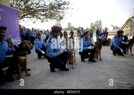 Nepalesische Polizisten gelten Girlande Blume und Vermillion Pulver zu Ihrem Hund während des KUKUR TIHAR oder Hund Gottesdienst Tag. Nach der hinduistischen Tradition Hunde sind die Boten des Yamraj, den Gott des Todes. Hunde sind verehrt, ihre Rolle bei der Bereitstellung von Sicherheit und Menschen bester Freund, auf den wichtigsten Hindu festival Tihar, das auch für die Verehrung der Göttin des Reichtums Laxmi gewidmet zu bestätigen. Stockfoto