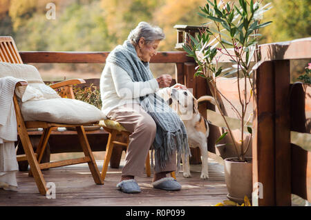 Eine ältere Frau mit einem Hund sitzen draußen auf der Terrasse an einem sonnigen Tag im Herbst. Stockfoto