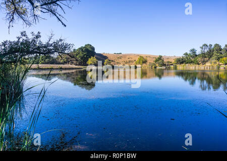 Boronda See in Palo Alto Ausläufer Park, San Francisco Bay Area, Kalifornien Stockfoto