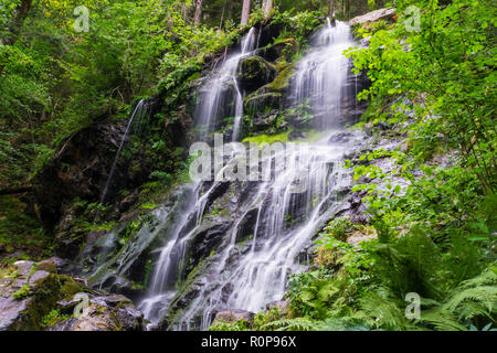 Deutschland, kalte Dusche von zweribach Wasserfall in der Nähe von Freiburg im Naturpark Schwarzwald Stockfoto