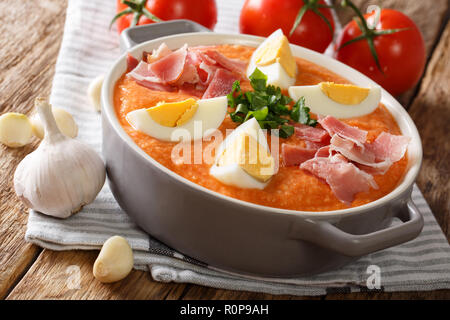 Porra Antequera ist eine traditionelle spanische Tomaten Suppe schließen könnte - auf den Tisch. Horizontale Stockfoto
