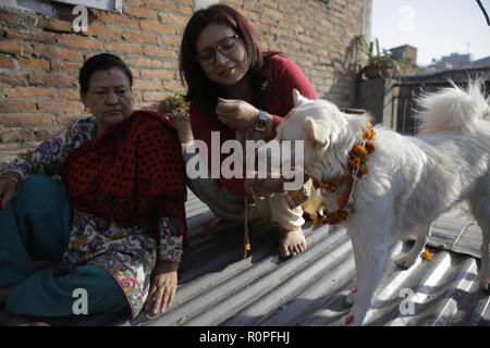 Kathmandu, Nepal. 6 Nov, 2018. Nepalesische Frauen gelten Girlande Blume und Vermillion Pulver zu Ihrem Hund während des KUKUR TIHAR oder Hund Gottesdienst Tag. Nach der hinduistischen Tradition Hunde sind die Boten des Yamraj, den Gott des Todes. Hunde sind verehrt, ihre Rolle bei der Bereitstellung von Sicherheit und Menschen bester Freund, auf den wichtigsten Hindu festival Tihar, das auch für die Verehrung der Göttin des Reichtums Laxmi gewidmet zu bestätigen. Credit: Sunil Pradhan/SOPA Images/ZUMA Draht/Alamy leben Nachrichten Stockfoto