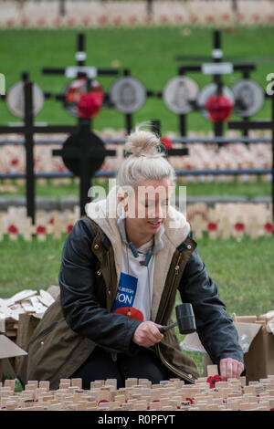 London, Großbritannien. 6. November 2018. Vorbereitungen für die Royal British Legion, der Erinnerung, der Westminster Abbey Credit: Guy Bell/Alamy leben Nachrichten Stockfoto