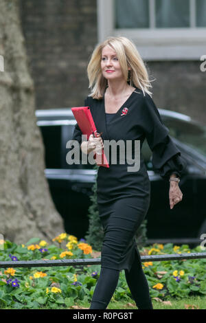 London, Großbritannien. 6. November 2018. Esther McVey Minister für Arbeit und Altersversorgung Credit: Amer ghazzal/Alamy leben Nachrichten Stockfoto