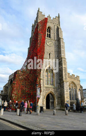 Sudbury, Suffolk, Großbritannien, 6.Novemebr 2018 Das Netz der gestrickte Mohnblumen, St. Peter's Kirche in Sudbury, Suffolk, die gewirkten und gestrickten haben. Insgesamt über 17.000 Mohnblumen auf einem 90 ft Cargo Net genäht worden. Das Netz hat sich in den churhc Turm und Kaskade hinunter in den Garten, um den 100. Jahrestag des Endes des Ersten Weltkriegs markieren platziert. Bild: Mark Bullimore Fotografie/Alamy leben Nachrichten Stockfoto