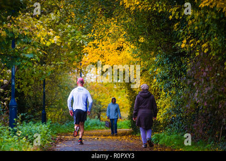 Aberystwyth Wales UK, 7. November 2018 DE Wetter: In zwischen den schweren Regen, Menschen laufen Joggen entlang einer kleinen, mit Bäumen gesäumten Fußweg in Aberystwyth als Herbst Blatt Farben und erreichen Ihre crescendo Anfang November. Das Met Office hat eine gelbe Warnmeldung für Regen und Überschwemmungen, die viel von Süd und West Wales heute morgen, mit einer weiteren Warnung für mehr Regen und Sturm Winde für den gleichen Bereich am Freitag gab auch Foto: Keith Morris/Alamy Live Neuigkeiten Stockfoto