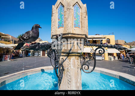 Taube saß am Brunnen in Hippokrates Platz in der Altstadt von Rhodos-Stadt (Rhodos, Griechenland) Stockfoto