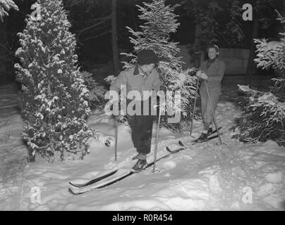 Winter in den 1940er Jahren. Ein junges Paar Ski fahren unter Bäumen. Schweden 1940. Foto Kristoffersson Ref. 118-8 Stockfoto