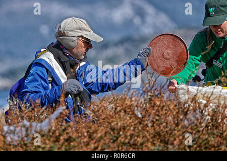 Melissa Carmody, Karukinka Naturpark Manager und Schriftsteller Carl Safina Hilfe Kunststoff bei Jackson Bay sammeln Stockfoto