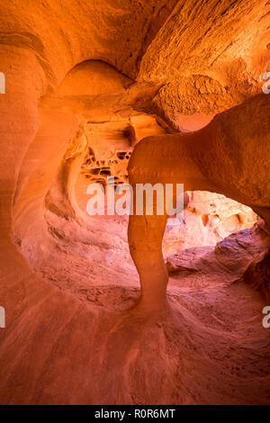 Windstone Arch (Arch), Valley of Fire State Park, Nevada, USA Stockfoto