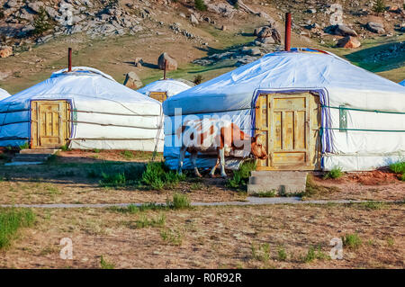 Gorkhi-Terelj Nationalpark, Tov Provinz, Mongolei - Juli 10, 2010: Tourist Camp der traditionellen Jurten genannt Gers in Gorkhi-Terelj Nationalpark. Stockfoto